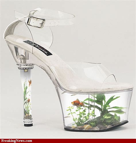 shoes with fake fish in heel|platform shoes with fish tank.